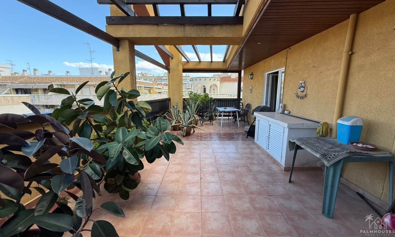 Revente - Apartment - Torrevieja - Torrevieja Centro