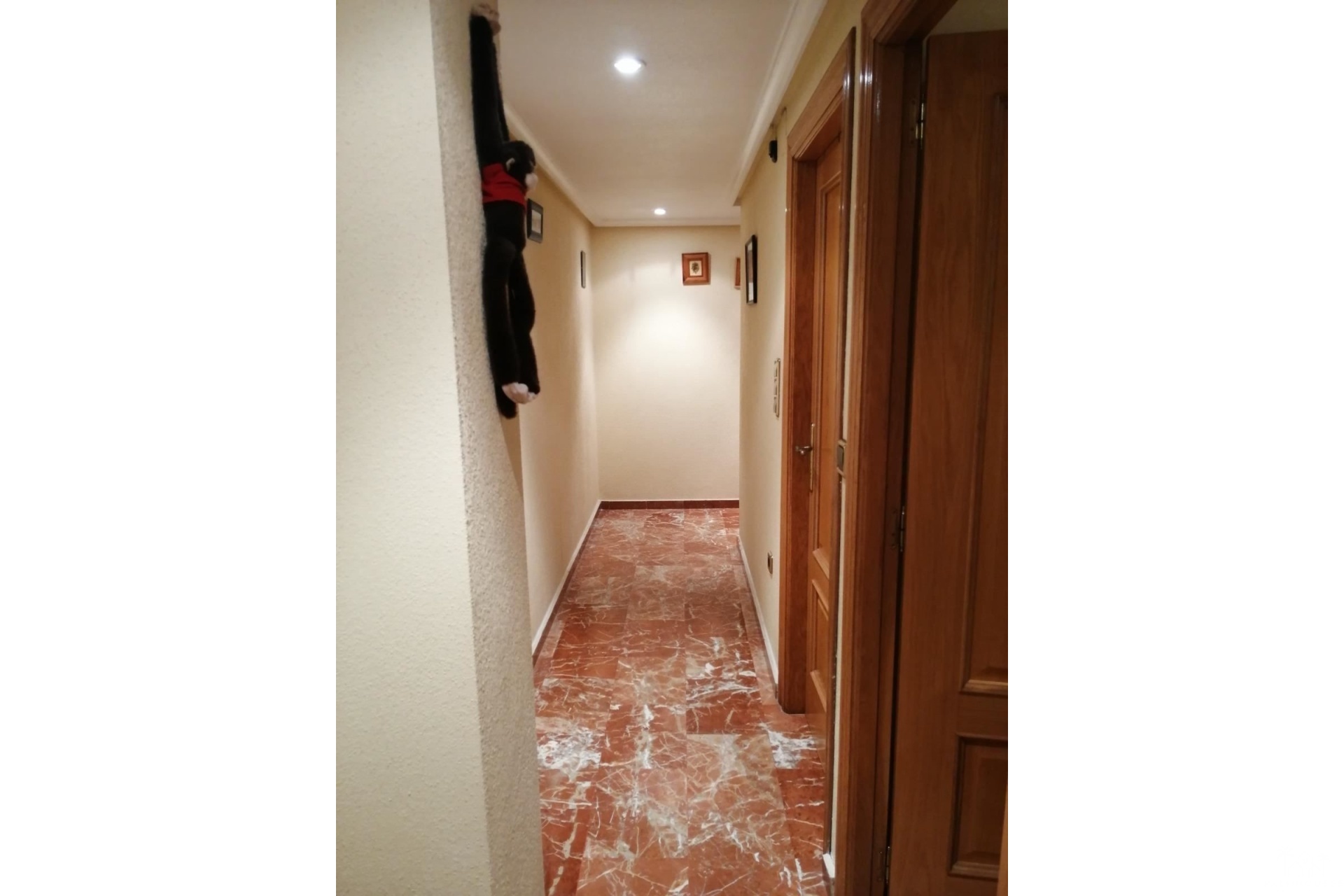 Revente - Apartment - Torrevieja - Torrevieja Centro
