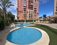 Revente - Apartment - Torrevieja - Torrevieja Centro