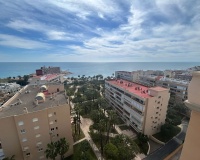 Revente - Apartment - Torrevieja - Torrevieja Centro