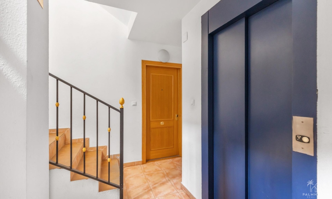 Revente - Apartment - Torrevieja