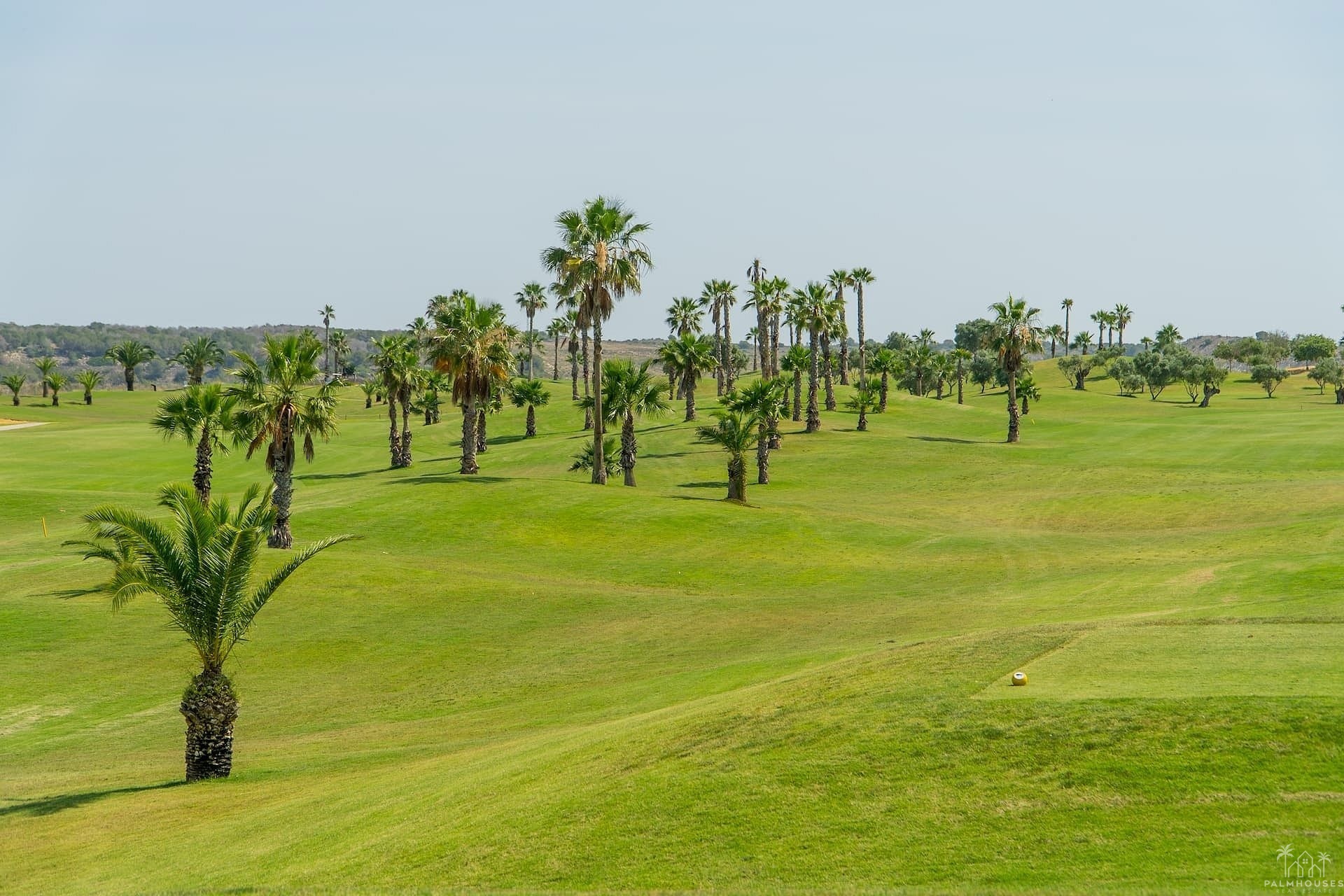 Revente - Apartment - Vistabella Golf