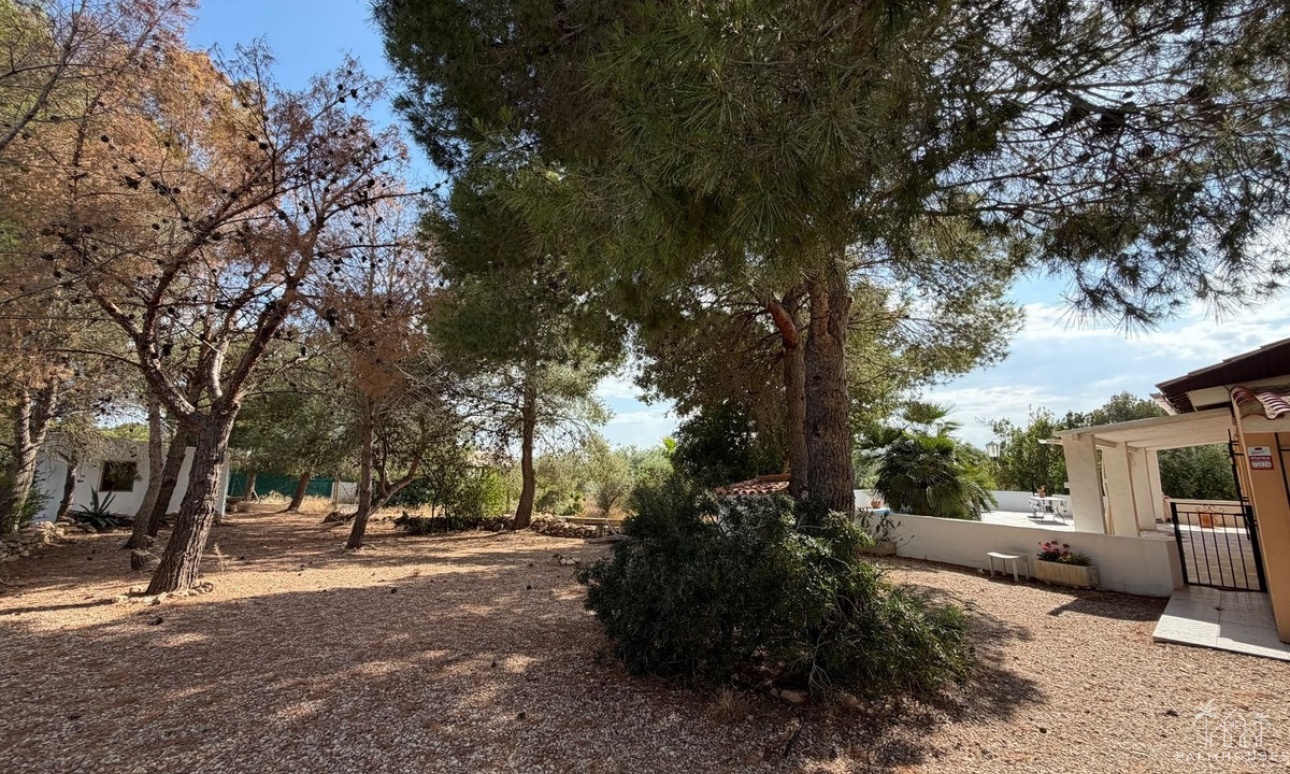 Revente - Country house - Aledo - Aledo Centro