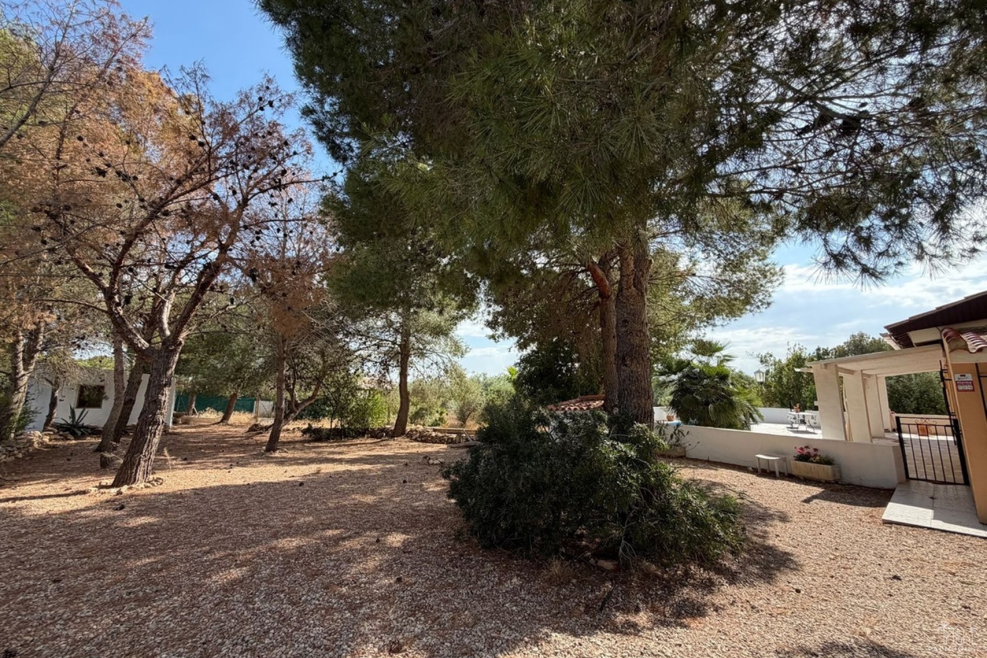 Revente - Country house - Aledo - Aledo Centro