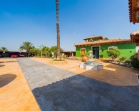 Revente - Country house - Almoradi - Almoradi Centro