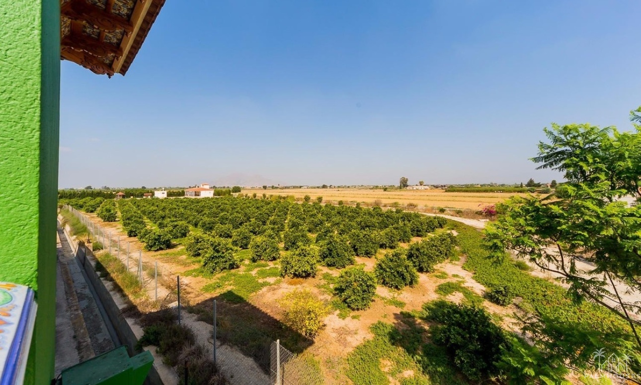 Revente - Country house - Almoradi - Almoradi Centro
