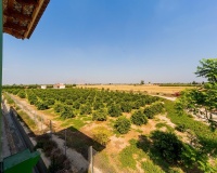 Revente - Country house - Almoradi - Almoradi Centro