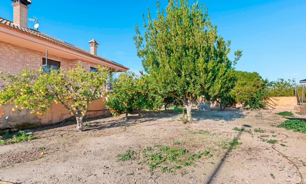 Revente - Country house - Beniel - Beniel Centro