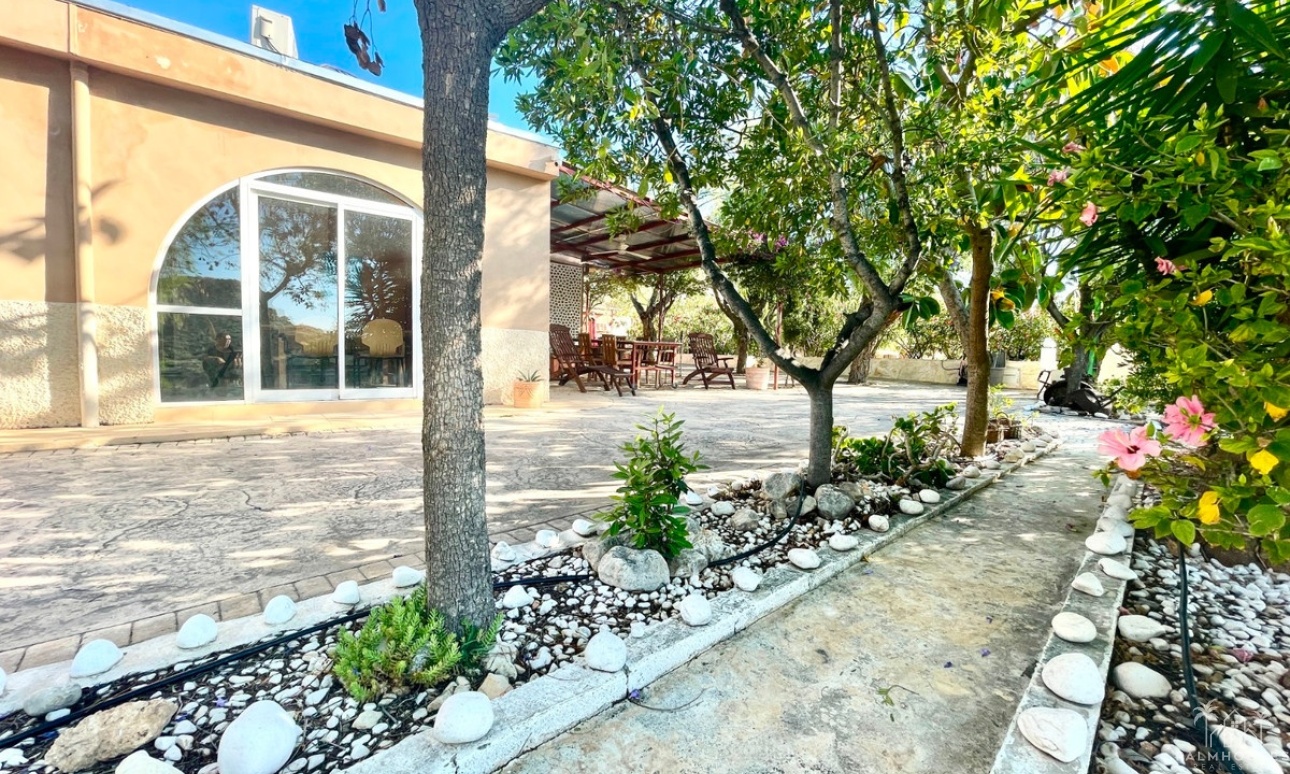 Revente - Country house - Crevillente - Crevillent - Crevillente - Crevillent Centro