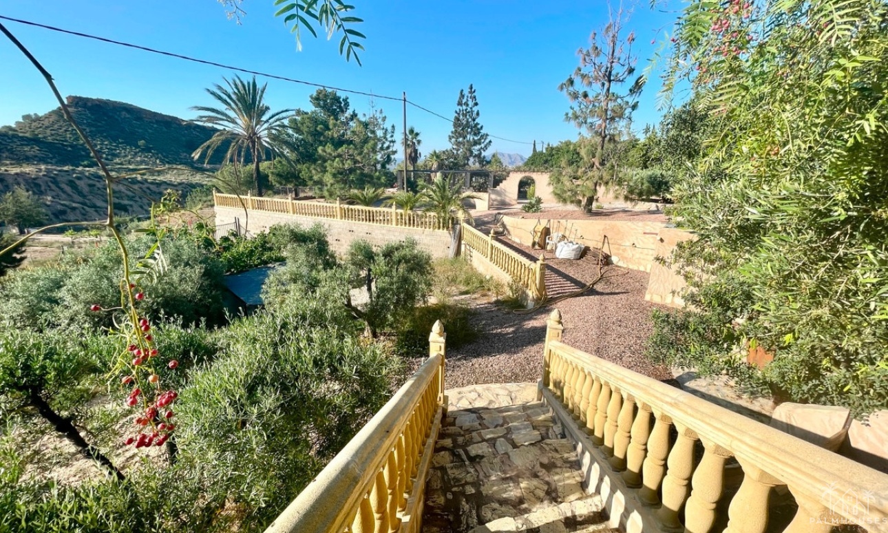 Revente - Country house - Crevillente - Crevillent - Crevillente - Crevillent Centro