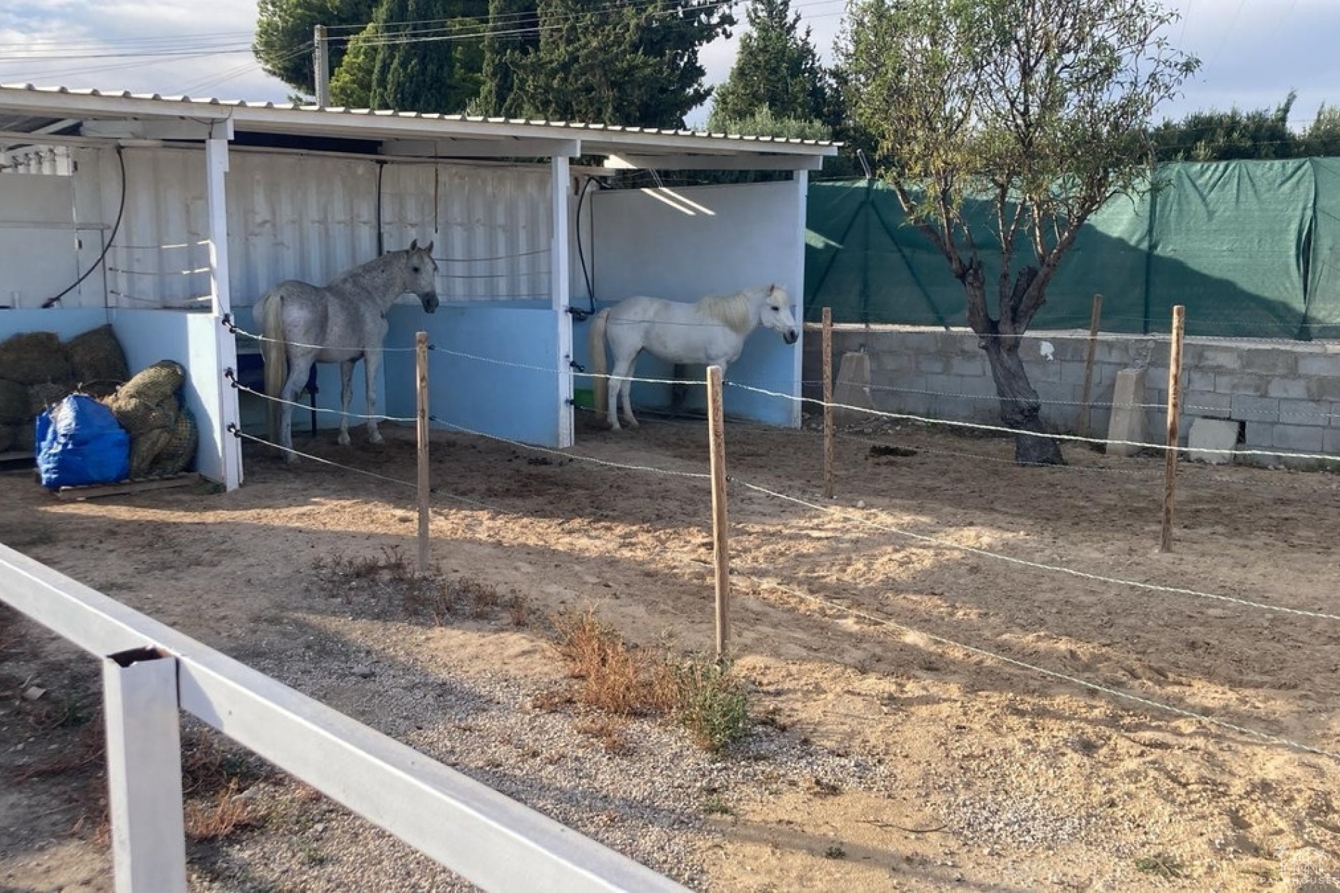 Revente - Country house - Crevillente - Crevillent - Crevillente - Crevillent Centro