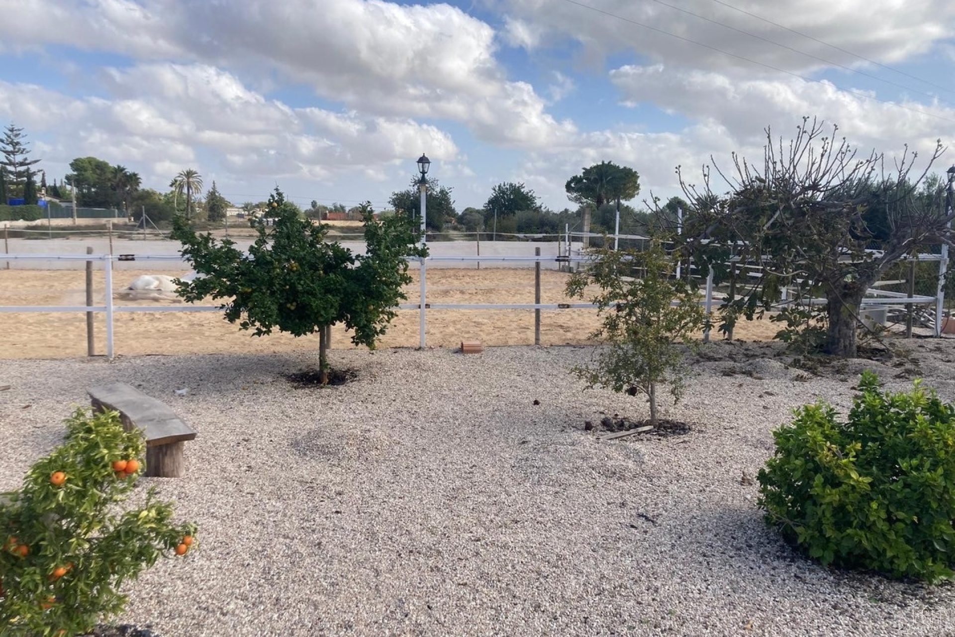 Revente - Country house - Crevillente - Crevillent - Crevillente - Crevillent Centro