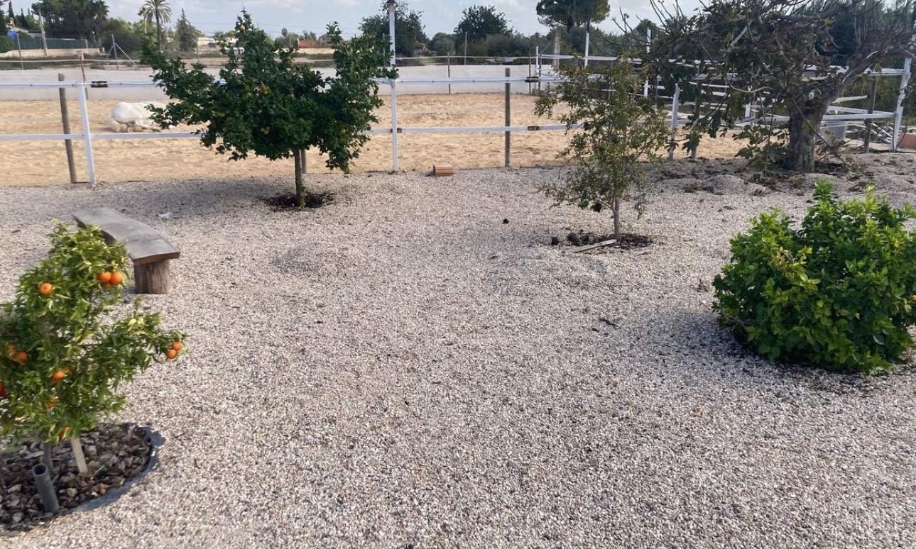 Revente - Country house - Crevillente - Crevillent - Crevillente - Crevillent Centro
