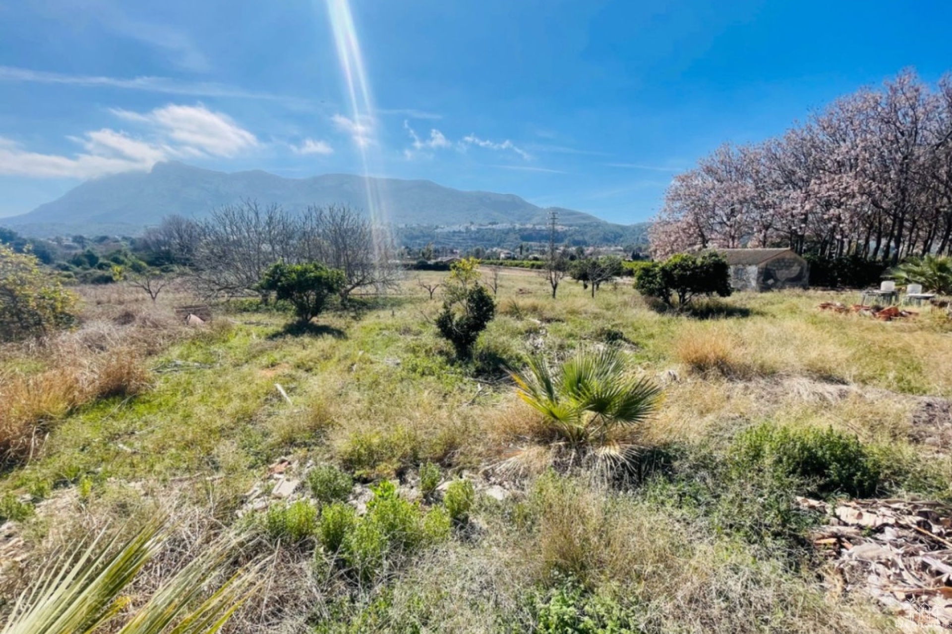 Revente - Country house - Denia - Denia Centro