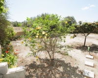 Revente - Country house - Dolores - Dolores Centro