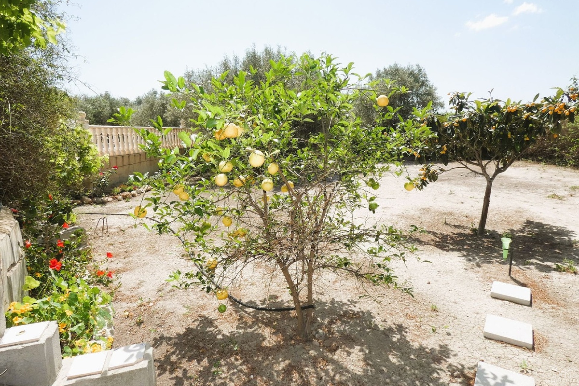 Revente - Country house - Dolores - Dolores Centro
