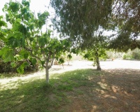 Revente - Country house - Dolores - Dolores Centro