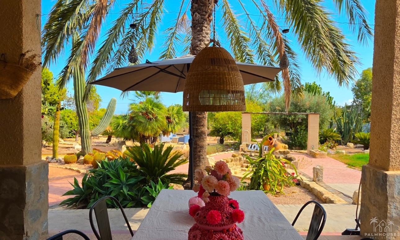 Revente - Country house - Elche - Elche Centro