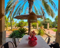 Revente - Country house - Elche - Elche Centro
