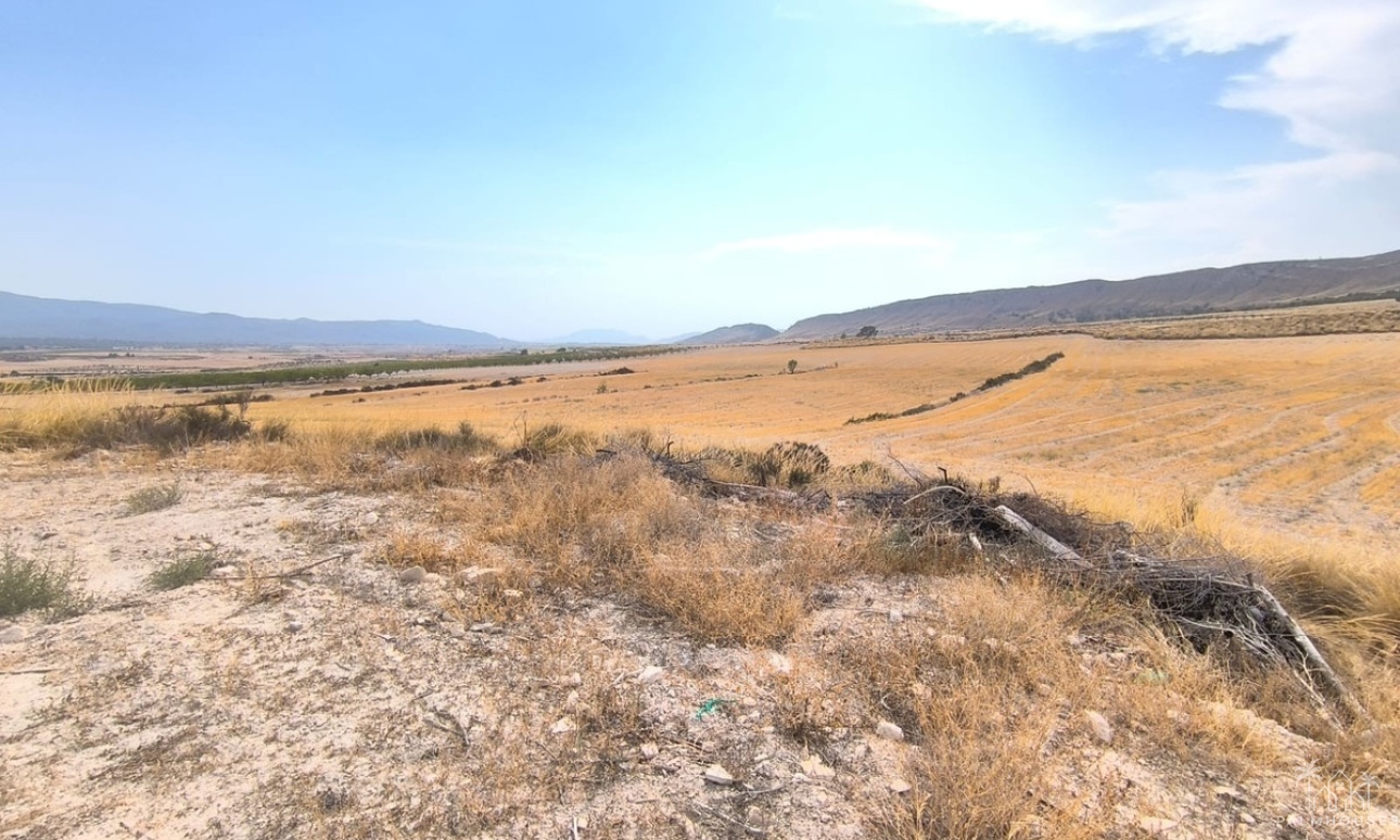 Revente - Country house - Jumilla - Jumilla Centro