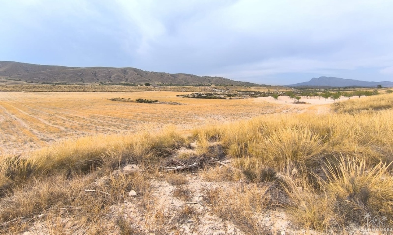 Revente - Country house - Jumilla - Jumilla Centro