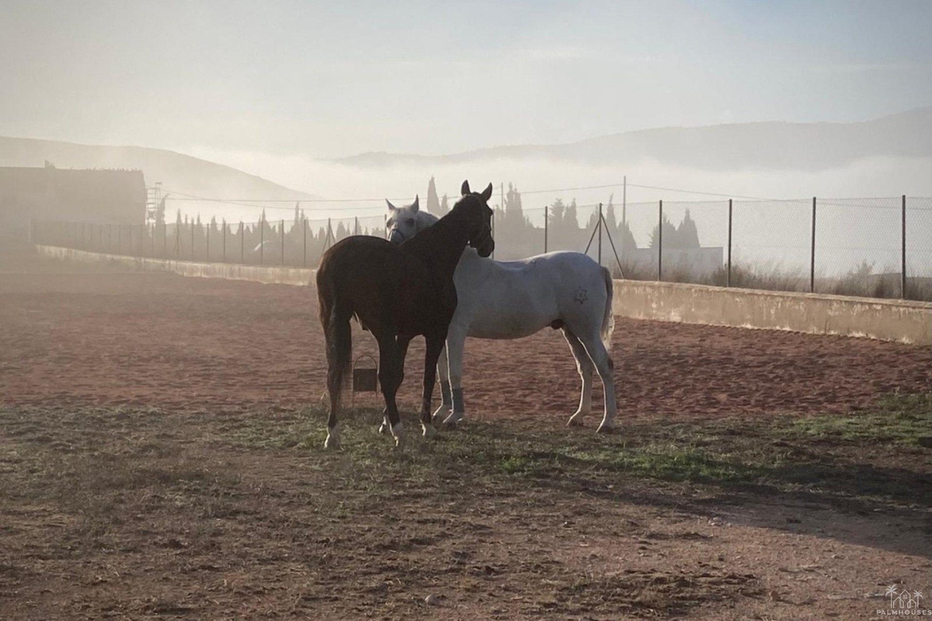 Revente - Country house - Jumilla - Torre Del Rico