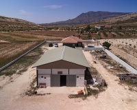 Revente - Country house - Jumilla - Torre Del Rico