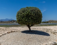 Revente - Country house - Jumilla - Torre Del Rico