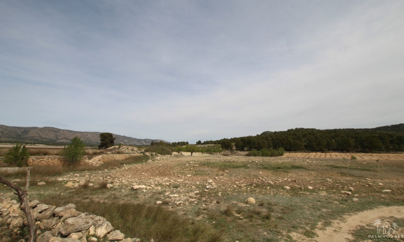 Revente - Country house - Monóvar - Monòver - Monóvar - Monòver Centro