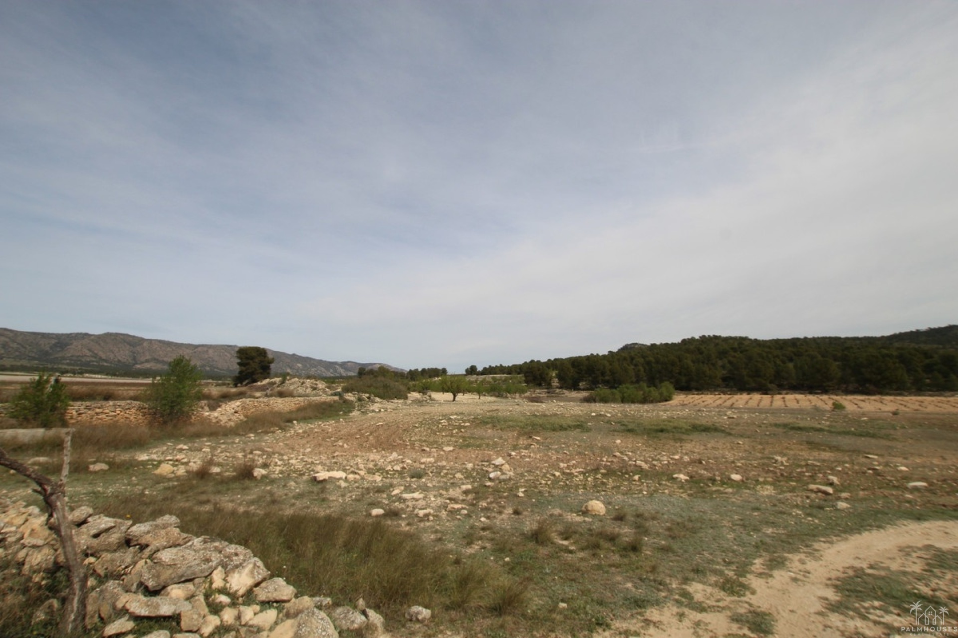 Revente - Country house - Monóvar - Monòver - Monóvar - Monòver Centro