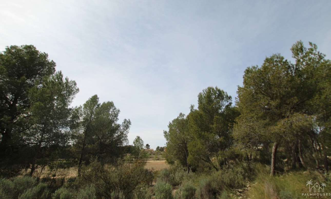 Revente - Country house - Monóvar - Monòver - Monóvar - Monòver Centro