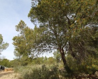 Revente - Country house - Monóvar - Monòver - Monóvar - Monòver Centro