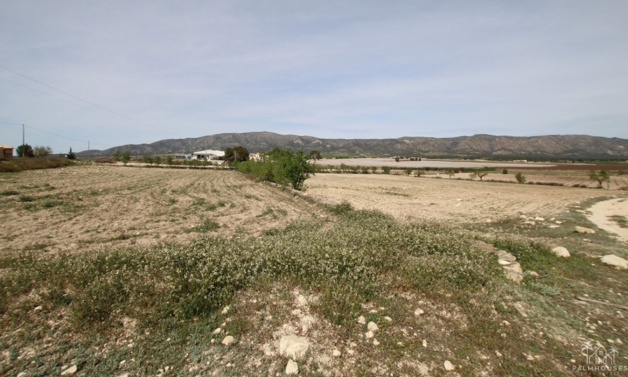 Revente - Country house - Monóvar - Monòver - Monóvar - Monòver Centro