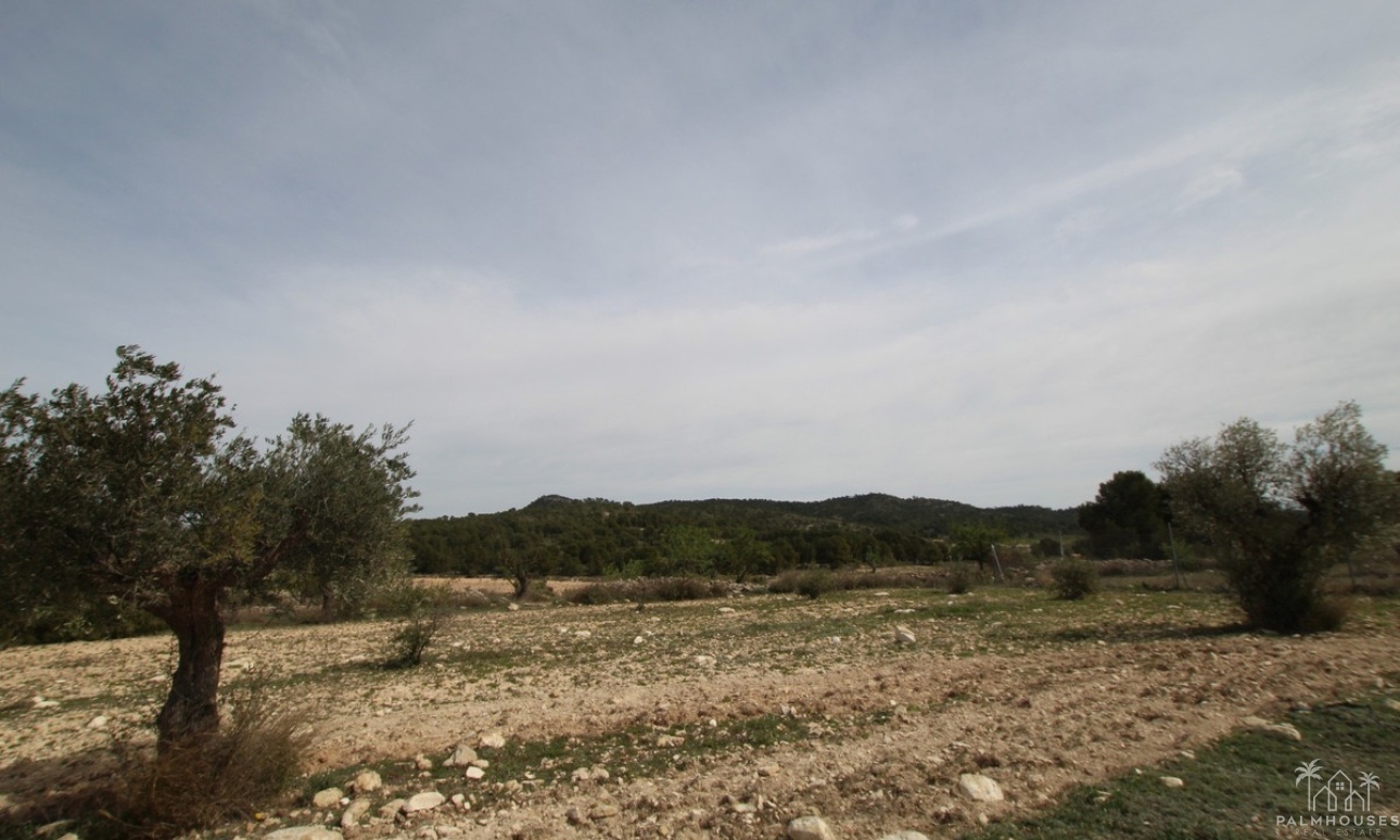 Revente - Country house - Monóvar - Monòver - Monóvar - Monòver Centro