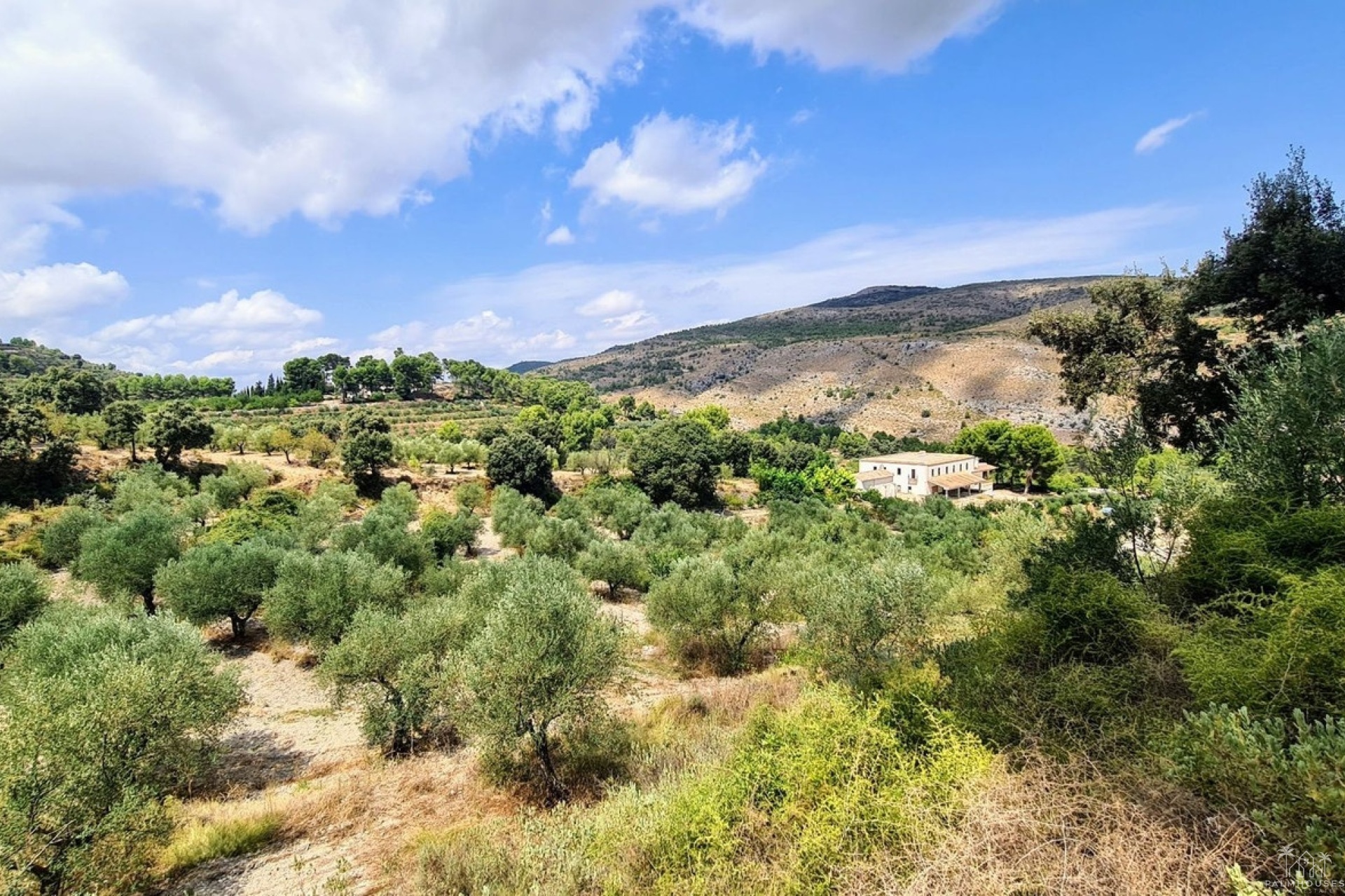 Revente - Country house - Muro de Alcoy - Muro de Alcoy Centro