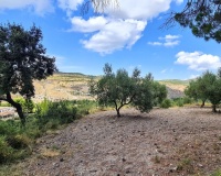 Revente - Country house - Muro de Alcoy - Muro de Alcoy Centro