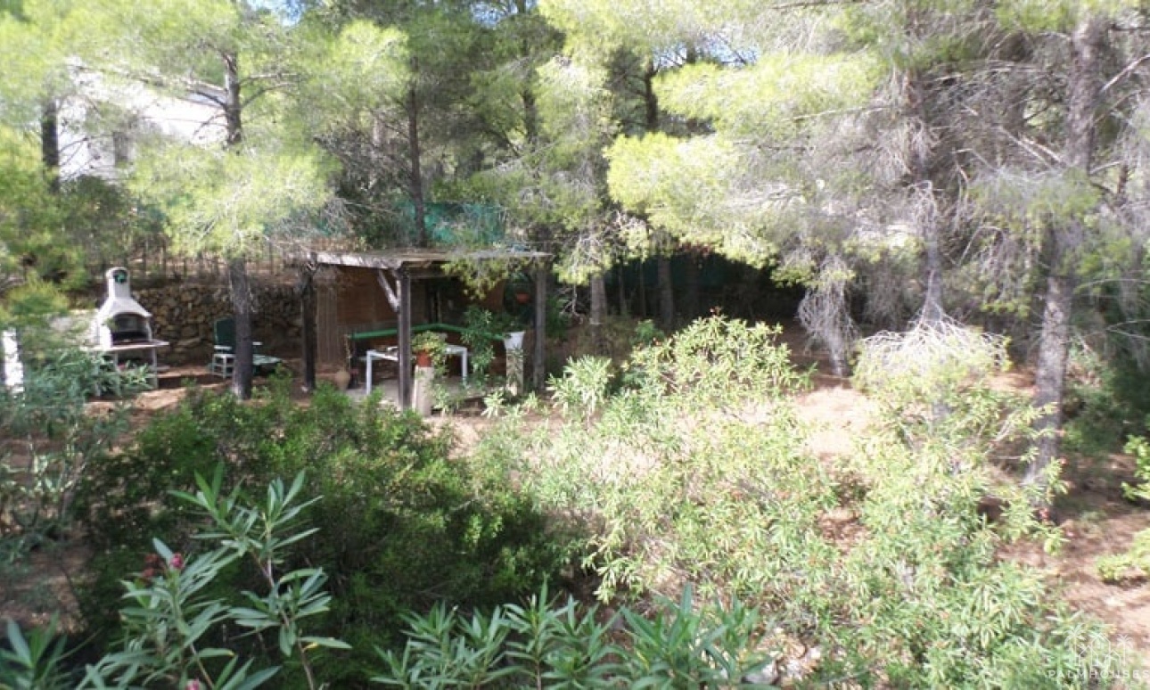 Revente - Country house - Pedreguer - Pedreguer Centro