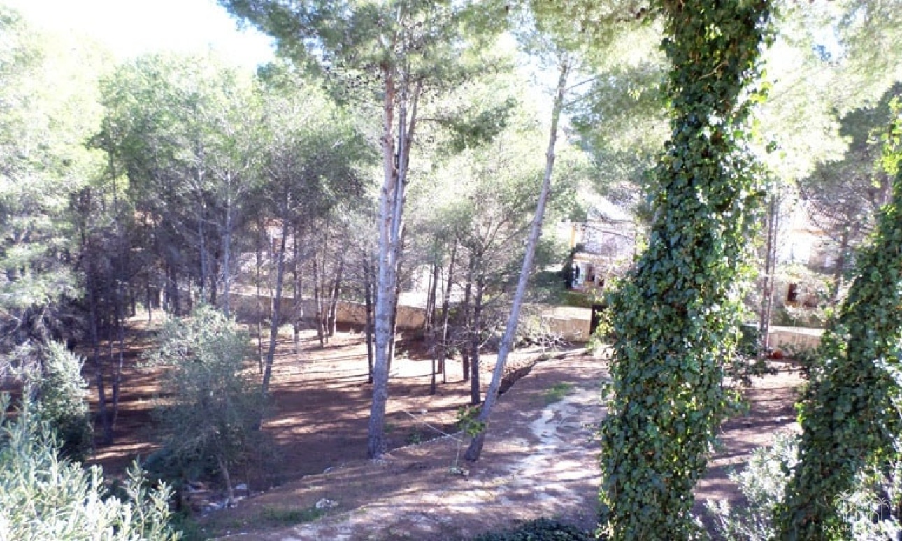 Revente - Country house - Pedreguer - Pedreguer Centro