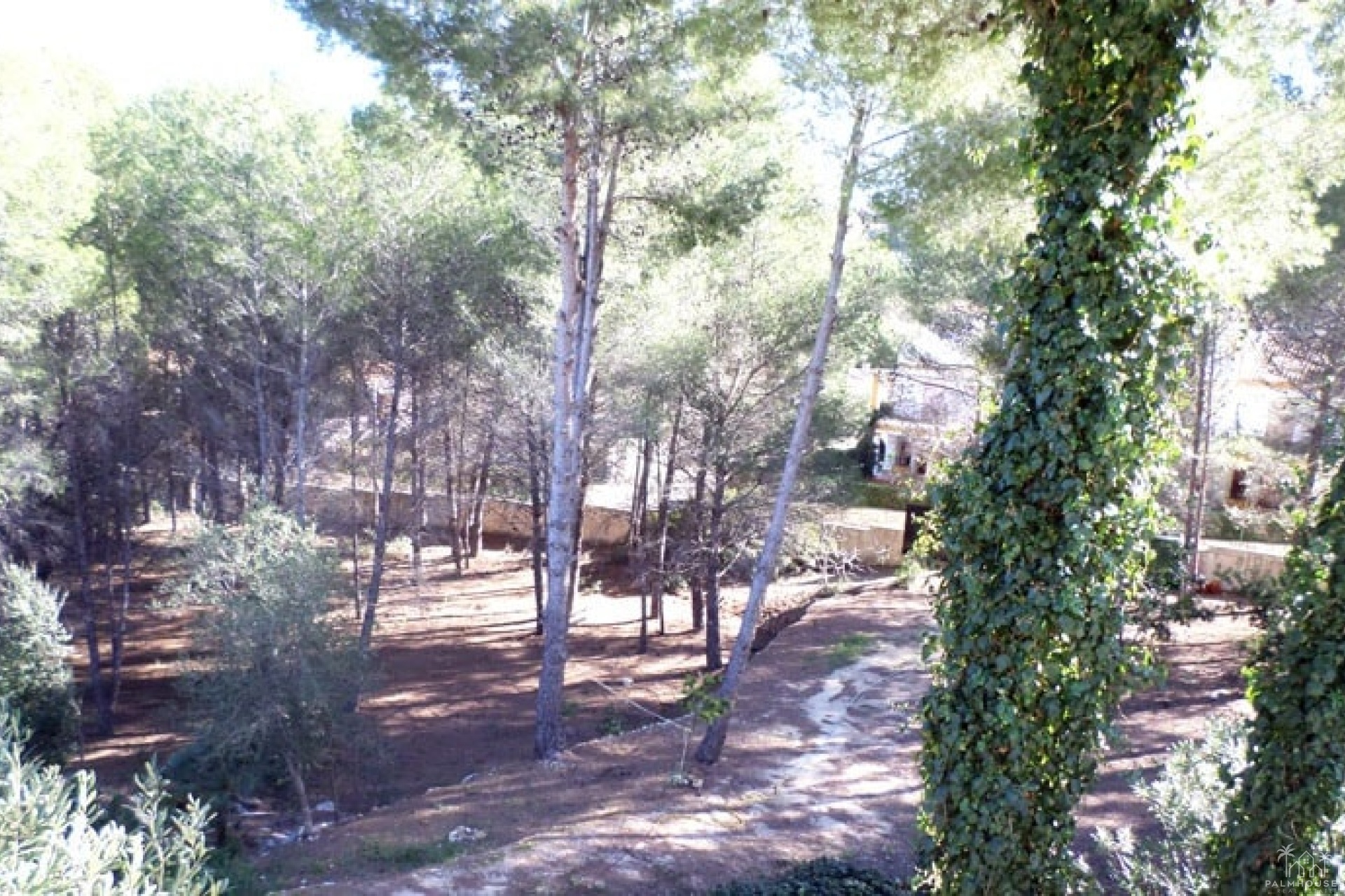 Revente - Country house - Pedreguer - Pedreguer Centro