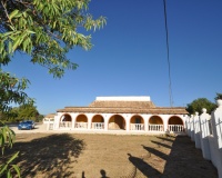 Revente - Country house - Pinoso - Pinoso Centro