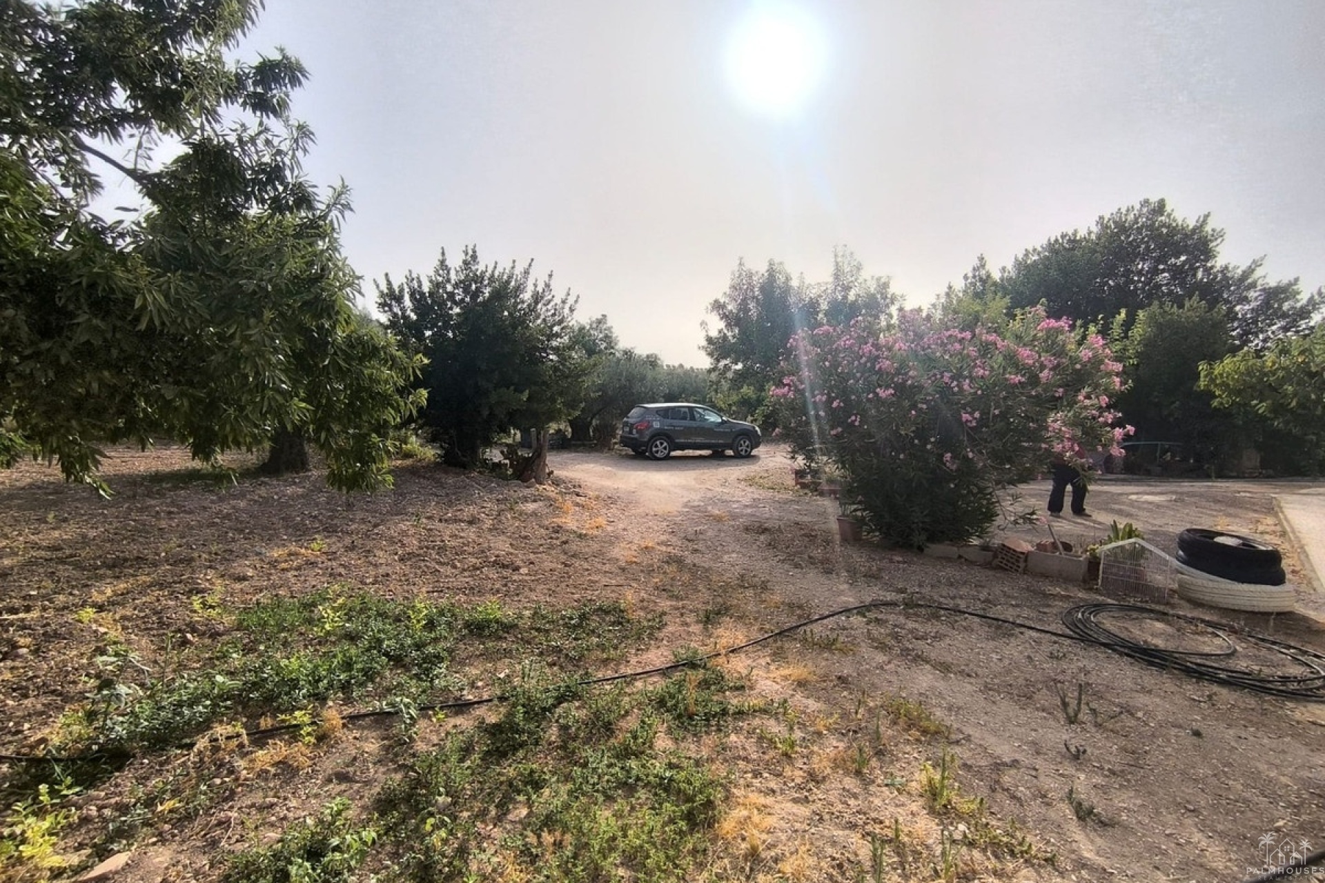 Revente - Country house - Pinoso - Pinoso Centro