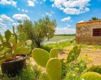 Revente - Country house - San Isidro - San Isidro Centro
