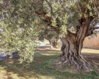 Revente - Country house - Teulada - Moraira