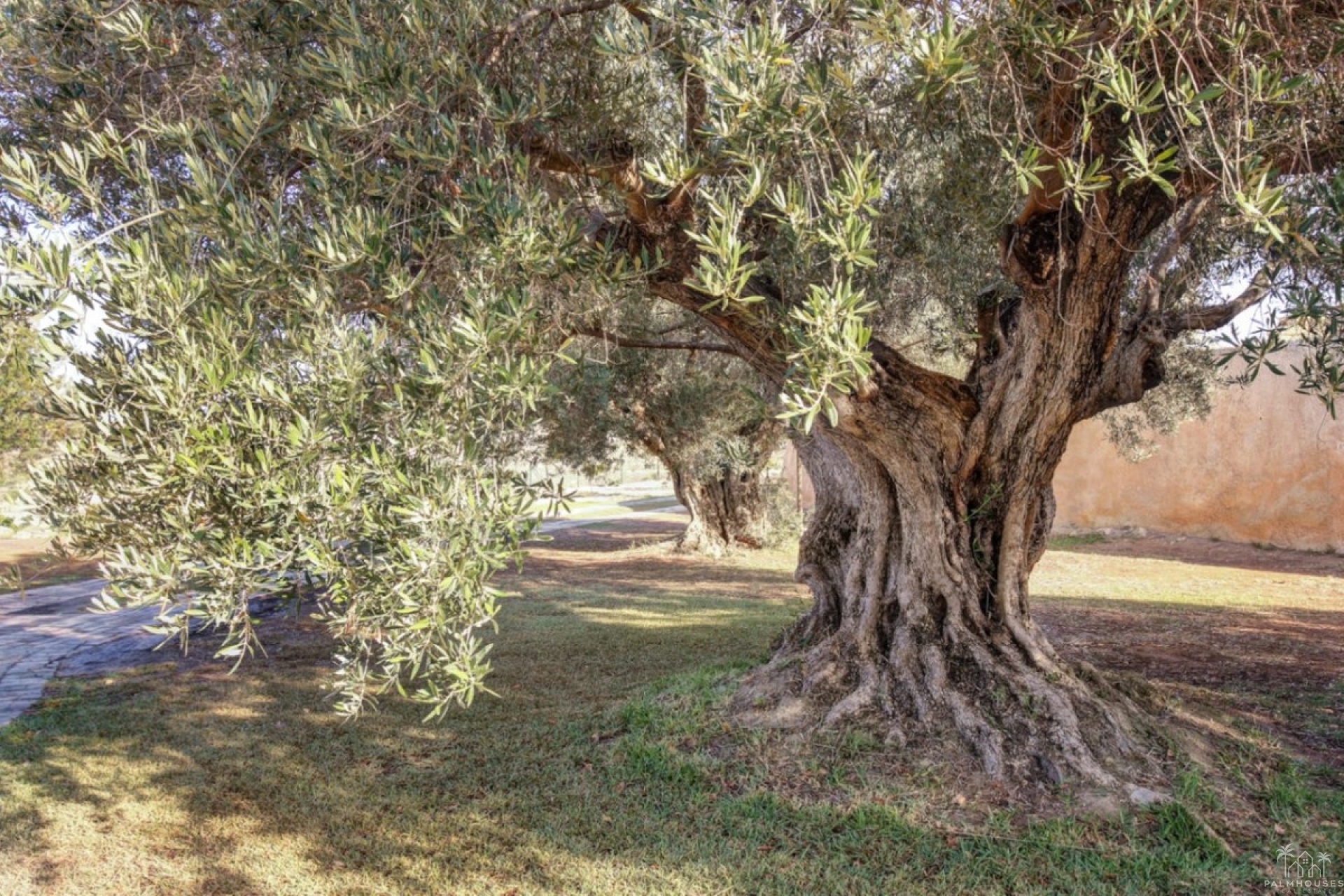 Revente - Country house - Teulada - Moraira