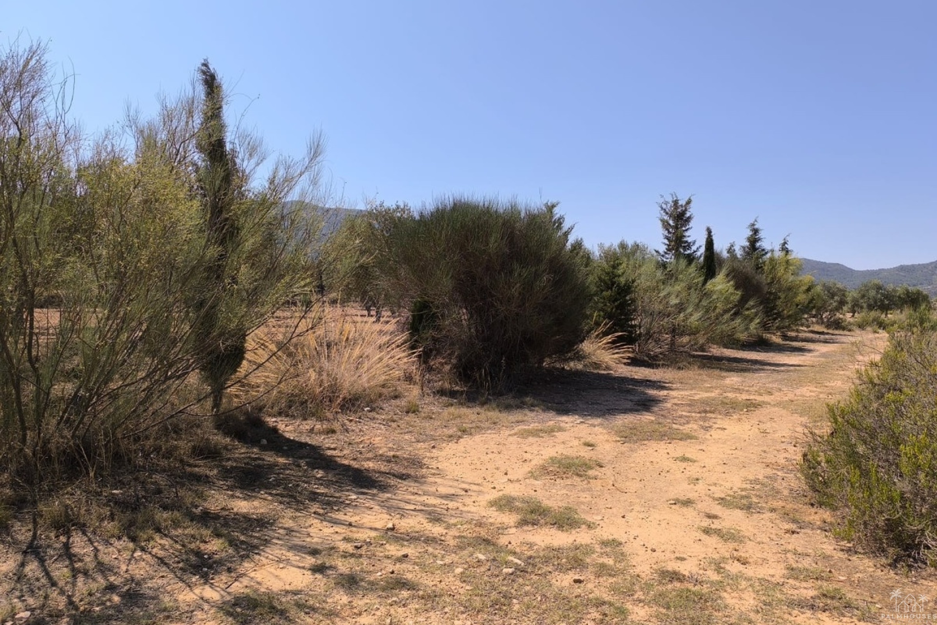 Revente - Country house - Villena - Villena Centro