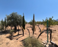 Revente - Country house - Villena - Villena Centro