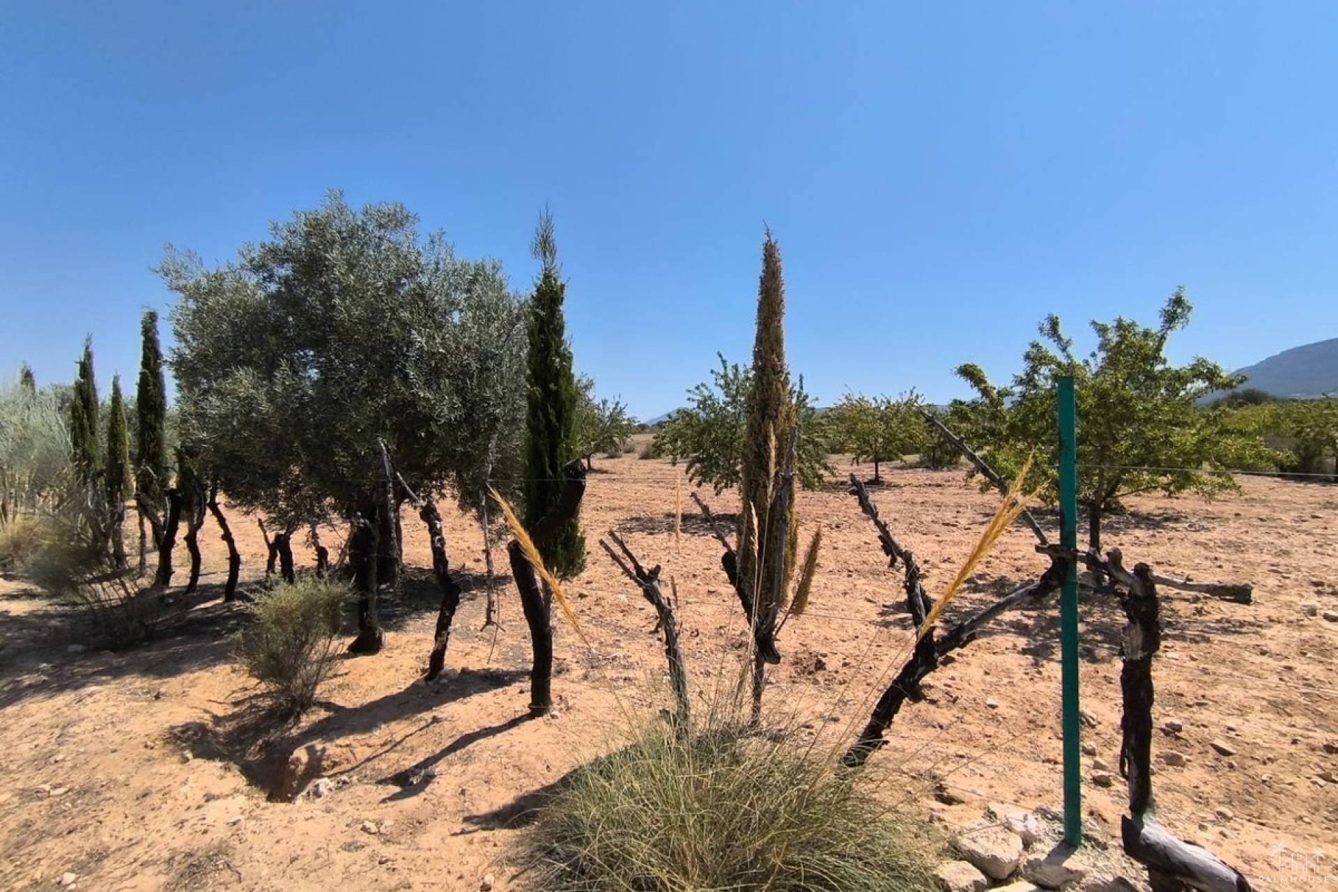Revente - Country house - Villena - Villena Centro