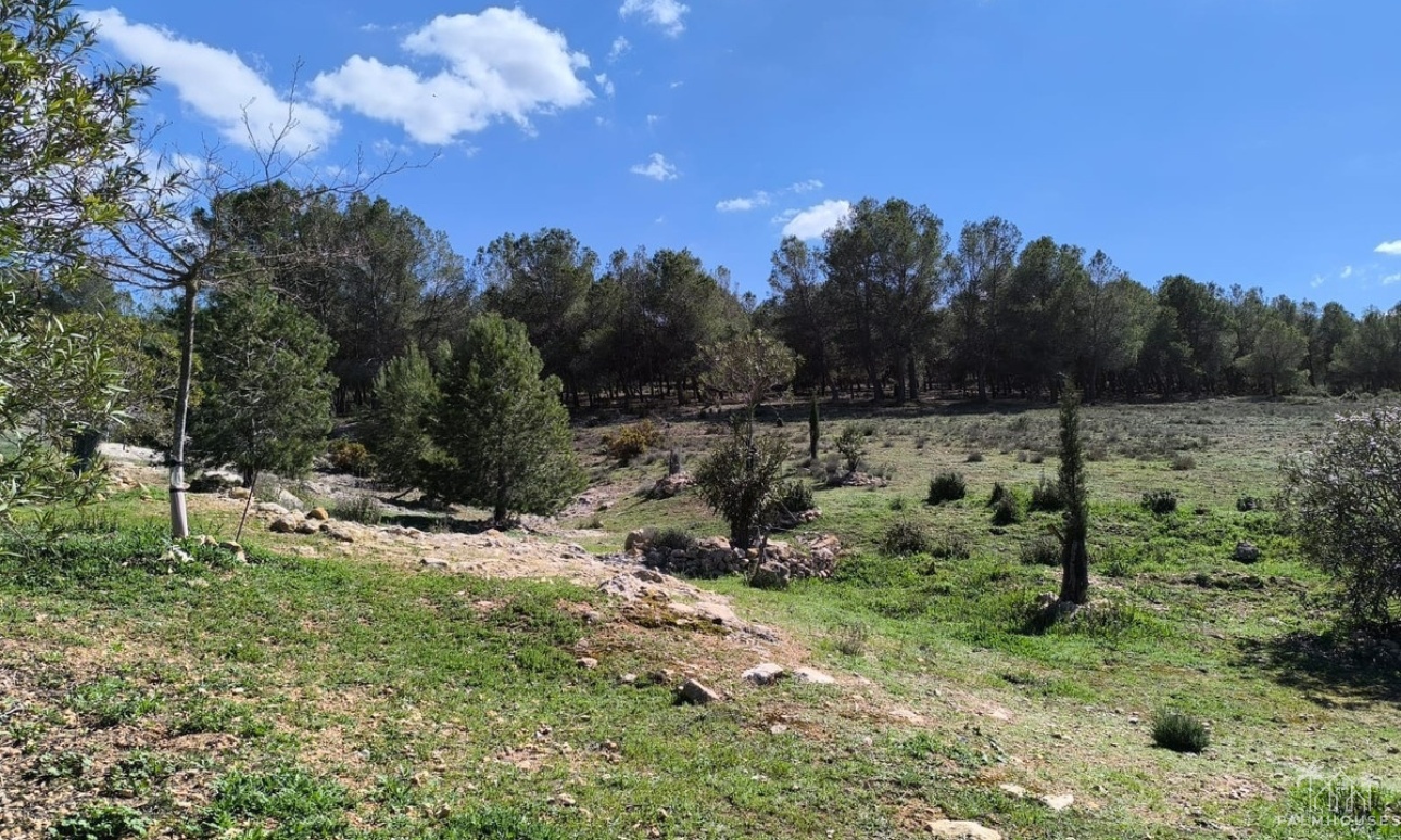 Revente - Country house - Villena - Villena Centro