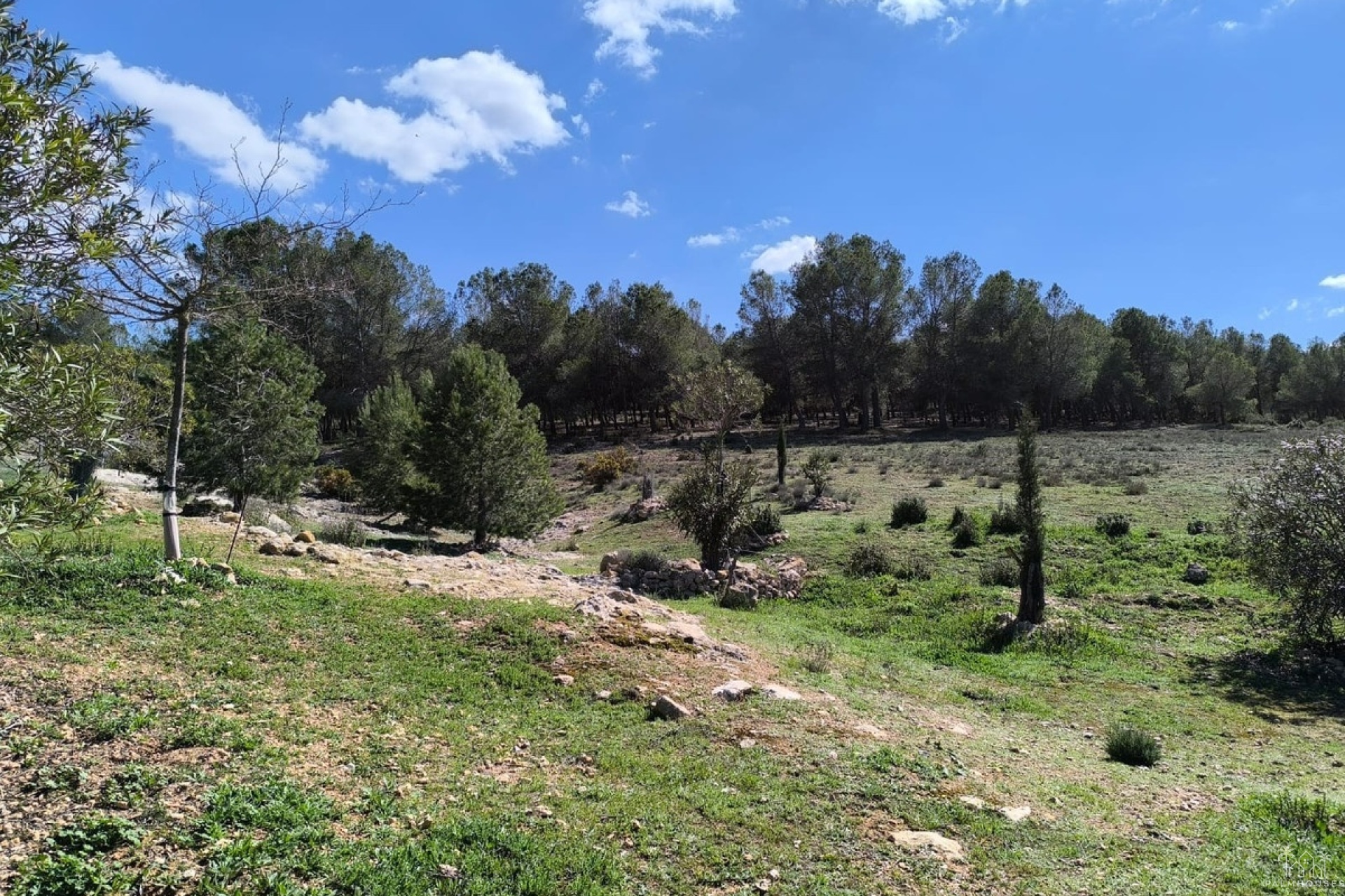 Revente - Country house - Villena - Villena Centro