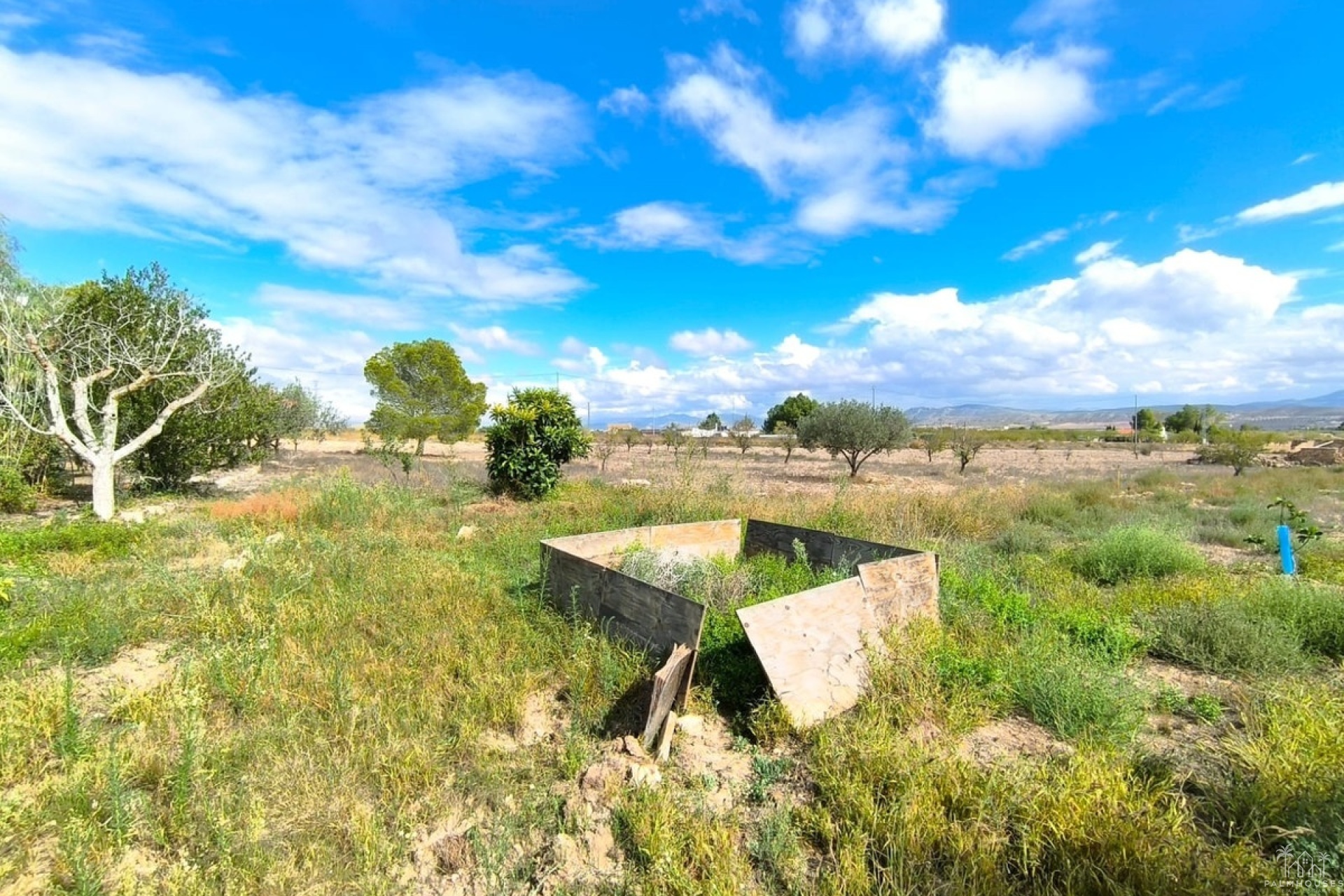 Revente - Country house - Yecla - Yecla Centro